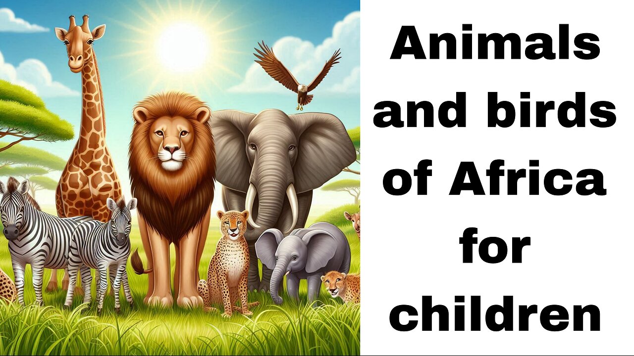 Animals and birds of Africa for children