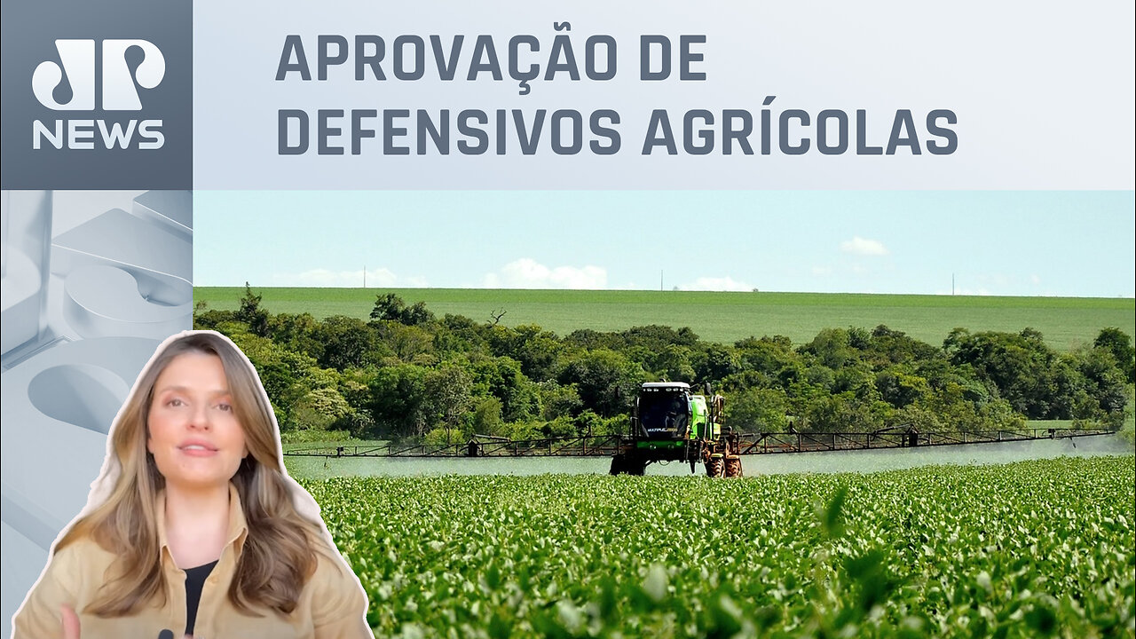 Kellen Severo: Nova Lei ajudará a modernizar agro brasileiro