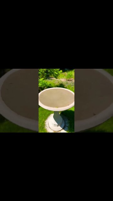 Testing cinematic mode on iPhone 13