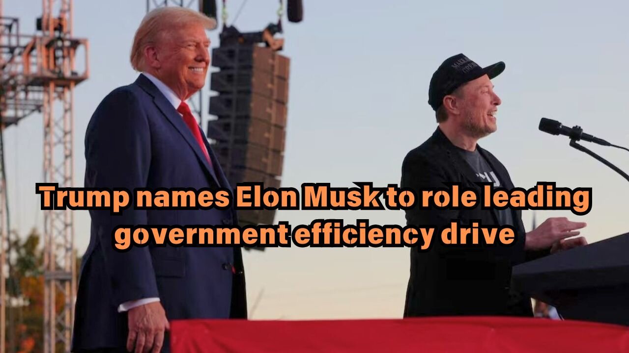 Trump names Elon Musk to role leading government efficiency drive