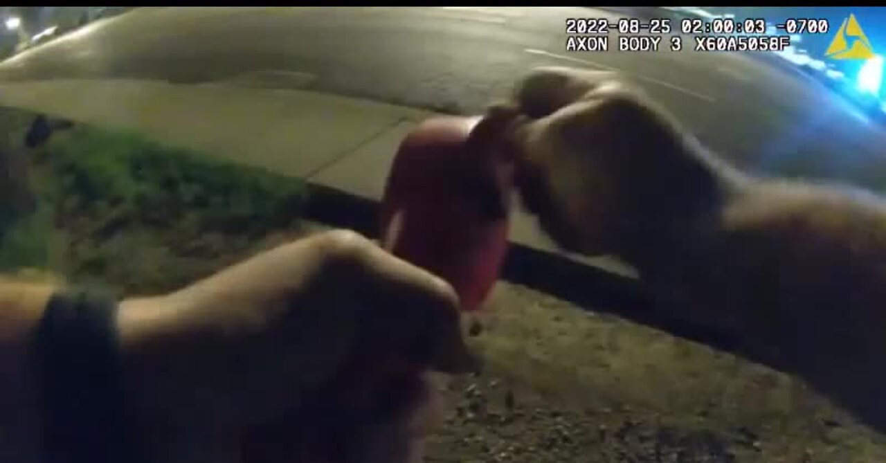Glendale police video of stop stick deployment