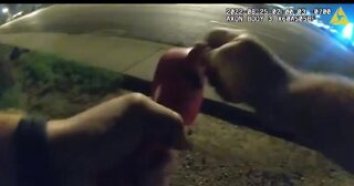 Glendale police video of stop stick deployment