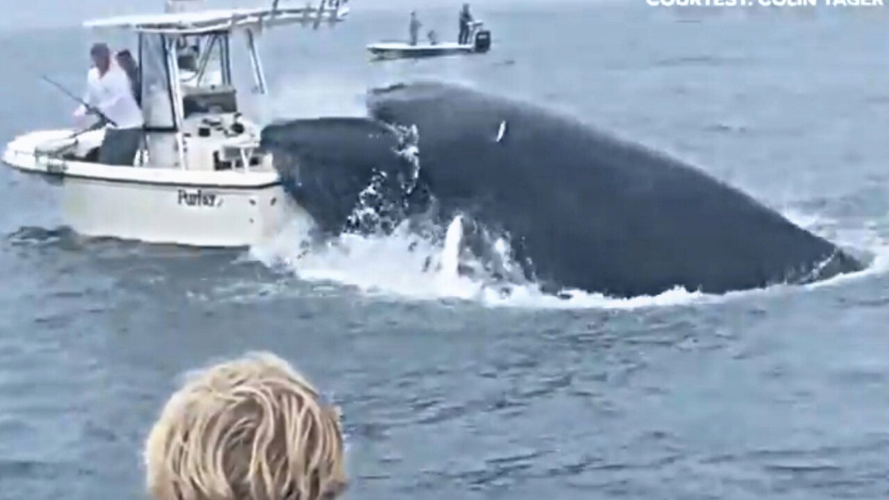 hale capsizes boat fishing in Portsmouth Harbor off the New Hampshire coast