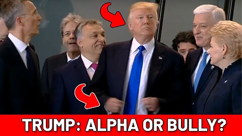 Trump: Alpha, or Bully?