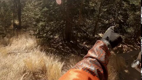 Riding Around - vlog #174 - A fall day! (The missing vlog)