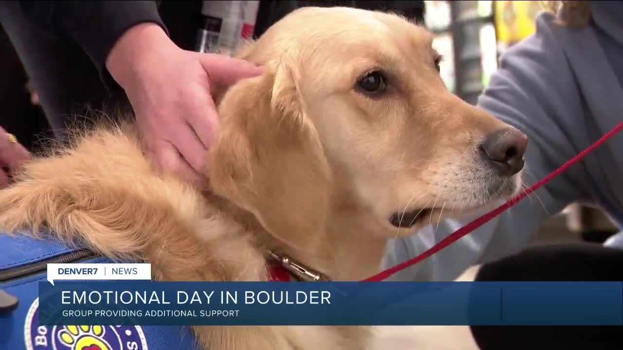 Therapy dogs providing support for Boulder community as Table Mesa King Soopers reopens