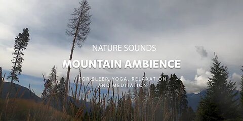 Relaxing Nature Sounds | Mountain Ambience | Feel the ambience