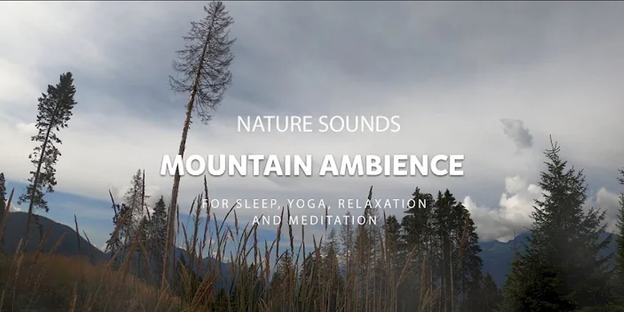 Relaxing Nature Sounds | Mountain Ambience | Feel the ambience