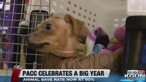 Pima Animal Care Center highlights a big 2016