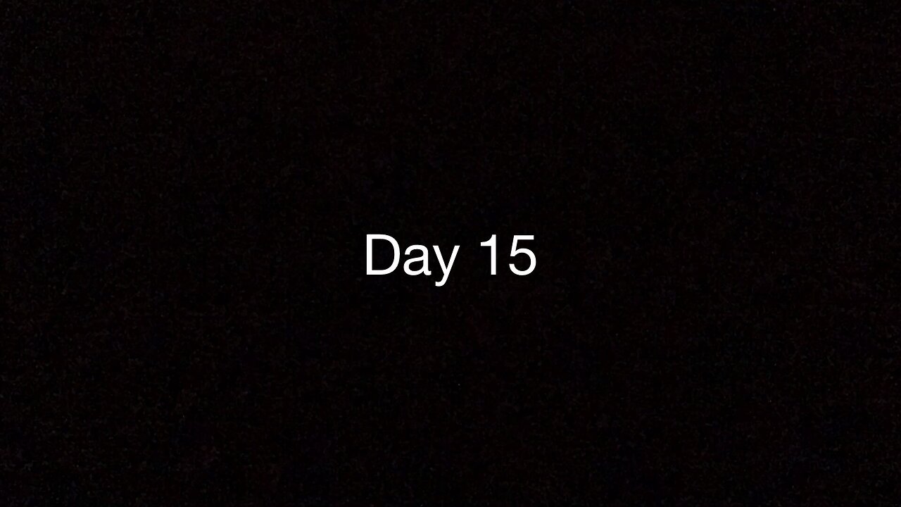 Day 15