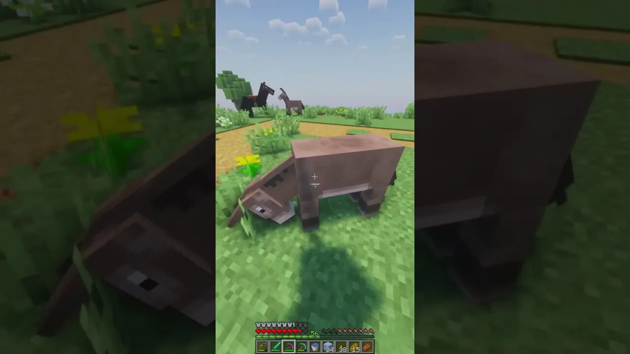 Minecraft 1.19 NEW SERVER ⛏🧱 46.4.53.240:27086 (Join Discord) Survival Multiplayer SMP Nice Shaders