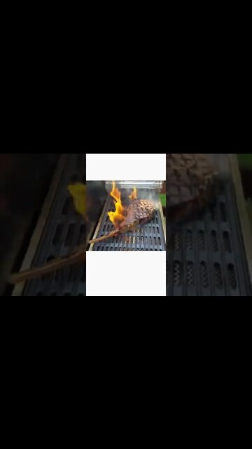 Huge Bone in Ribeye!