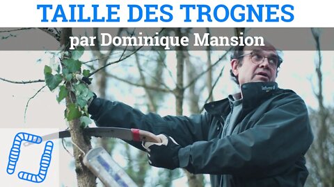 Taille des trognes, avec Dominique Mansion