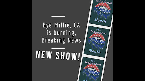 Bye Millie, CA is burning, Breaking News!