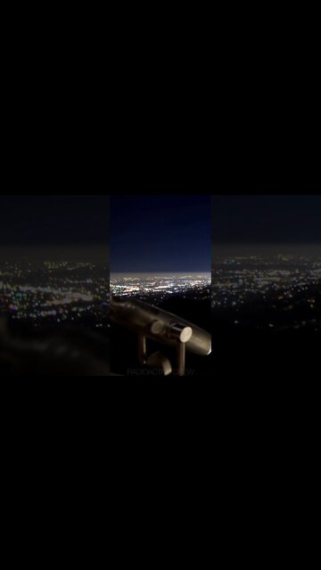 Timelapse Trees LA LAX #Shorts