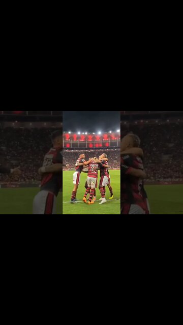OS 4 GOLS DO FLAMENGO VISTOS DE UM ÂNGULO DIFERENTE!!!