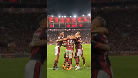 OS 4 GOLS DO FLAMENGO VISTOS DE UM ÂNGULO DIFERENTE!!!