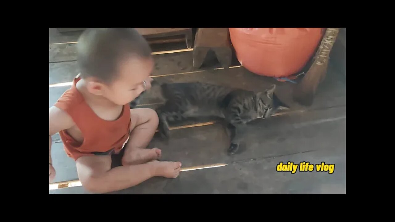 baby and cat | daily life vlog