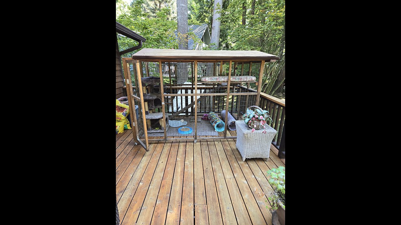 Catio outside cat/dog kennel