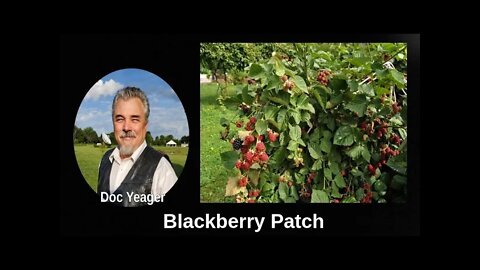 Speaking Gods Word at our BlackBerry Patch by Dr Michael H Yeager