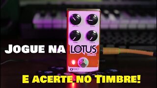 PEDAL LOTUS - REVIEW - RAD CUSTOM SHOP