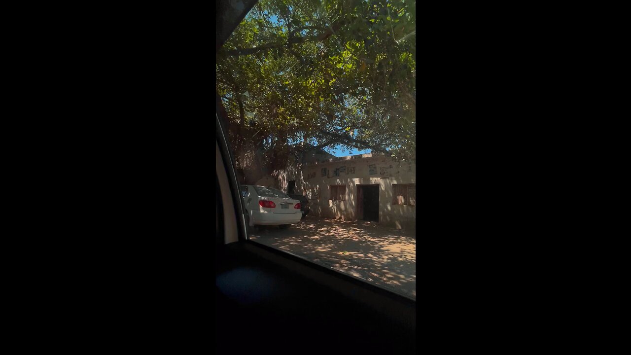 Village diaries