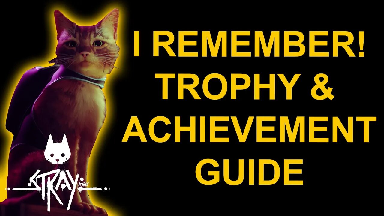 I Remember! - Stray - Trophy / Achievement Guide