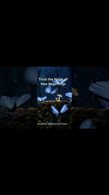Trust the Magic of New Beginnings