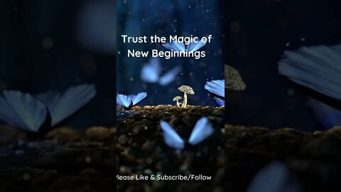 Trust the Magic of New Beginnings