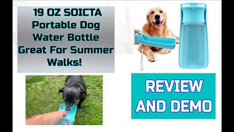 Great For Summer Walks Soicta Portable Dog Water Bottle