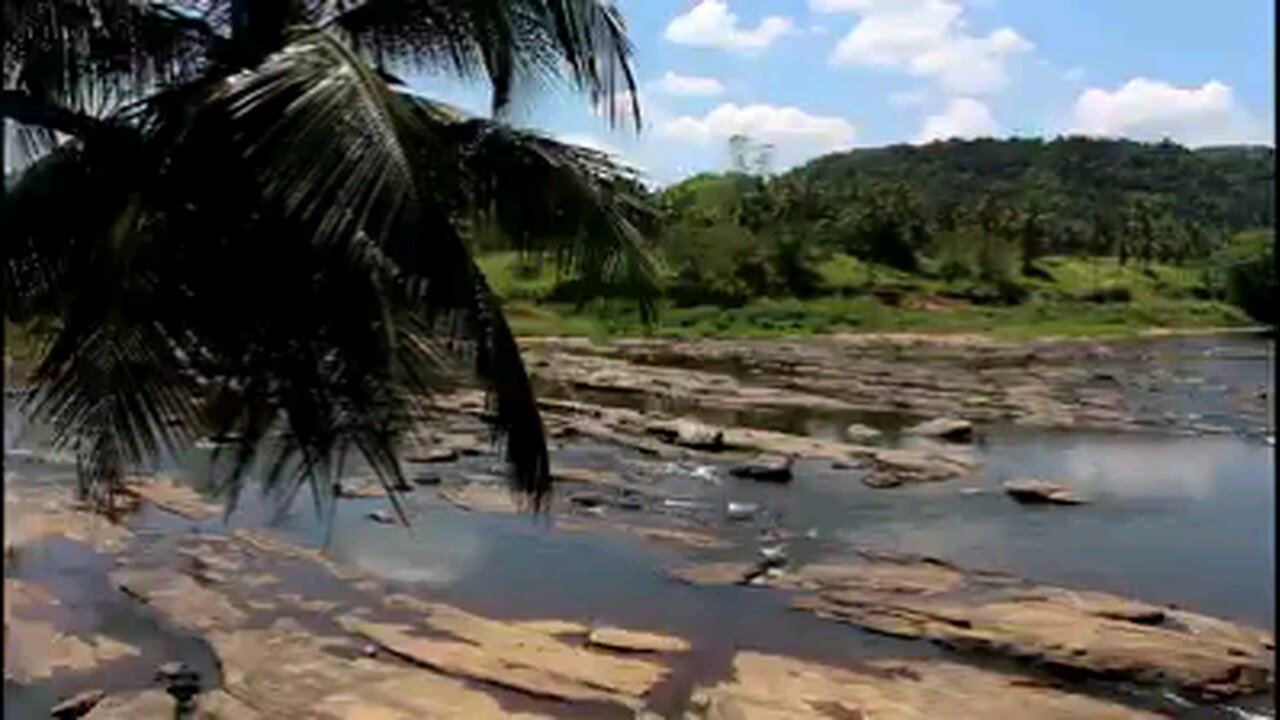 Elephant Orphanage Sri Lanka 🇱🇰