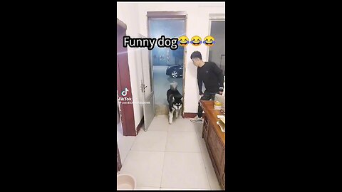 Funny Video