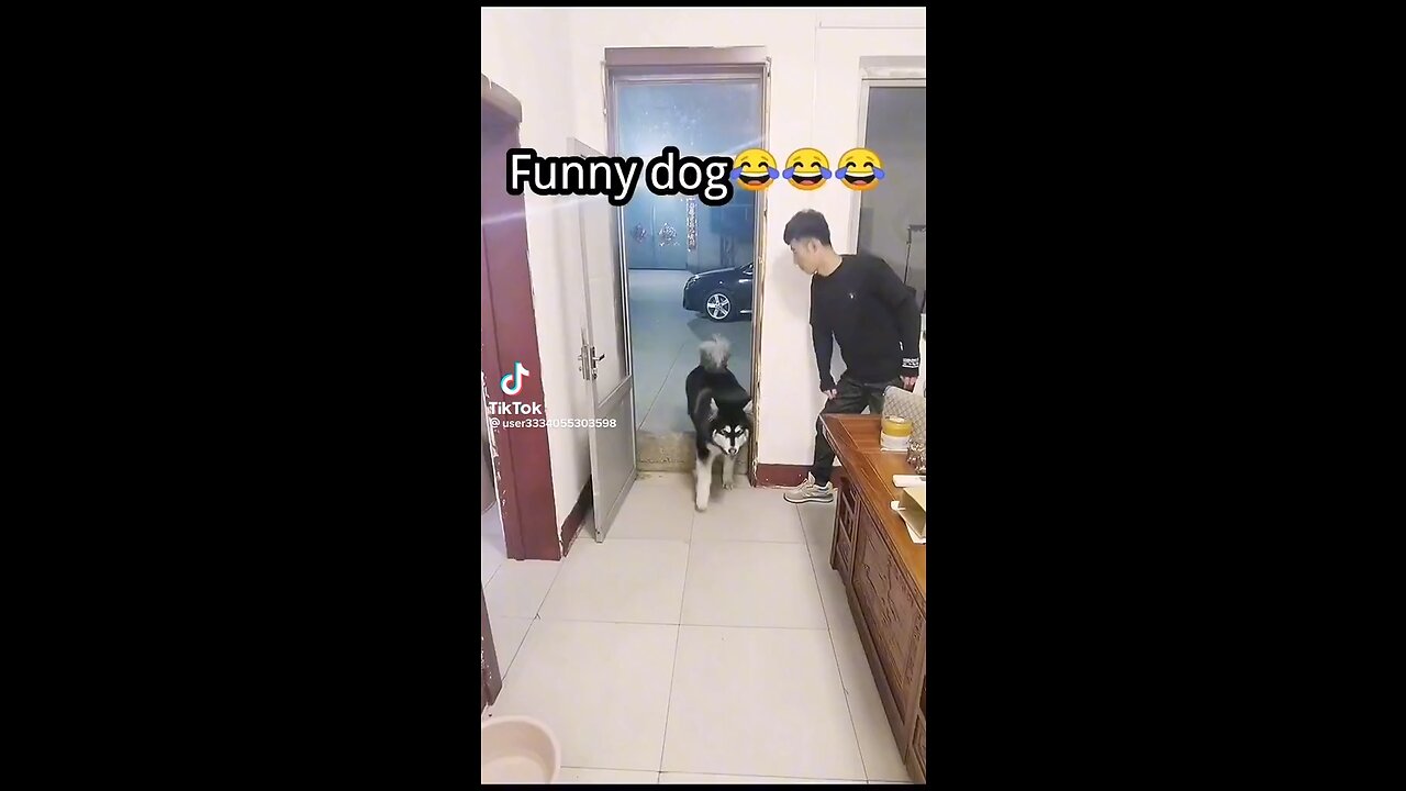 Funny Video