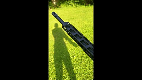 Ruger Precision 308