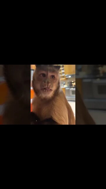 Crunchy make you schrong