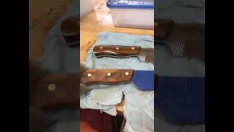 Love me some desert ironwood!