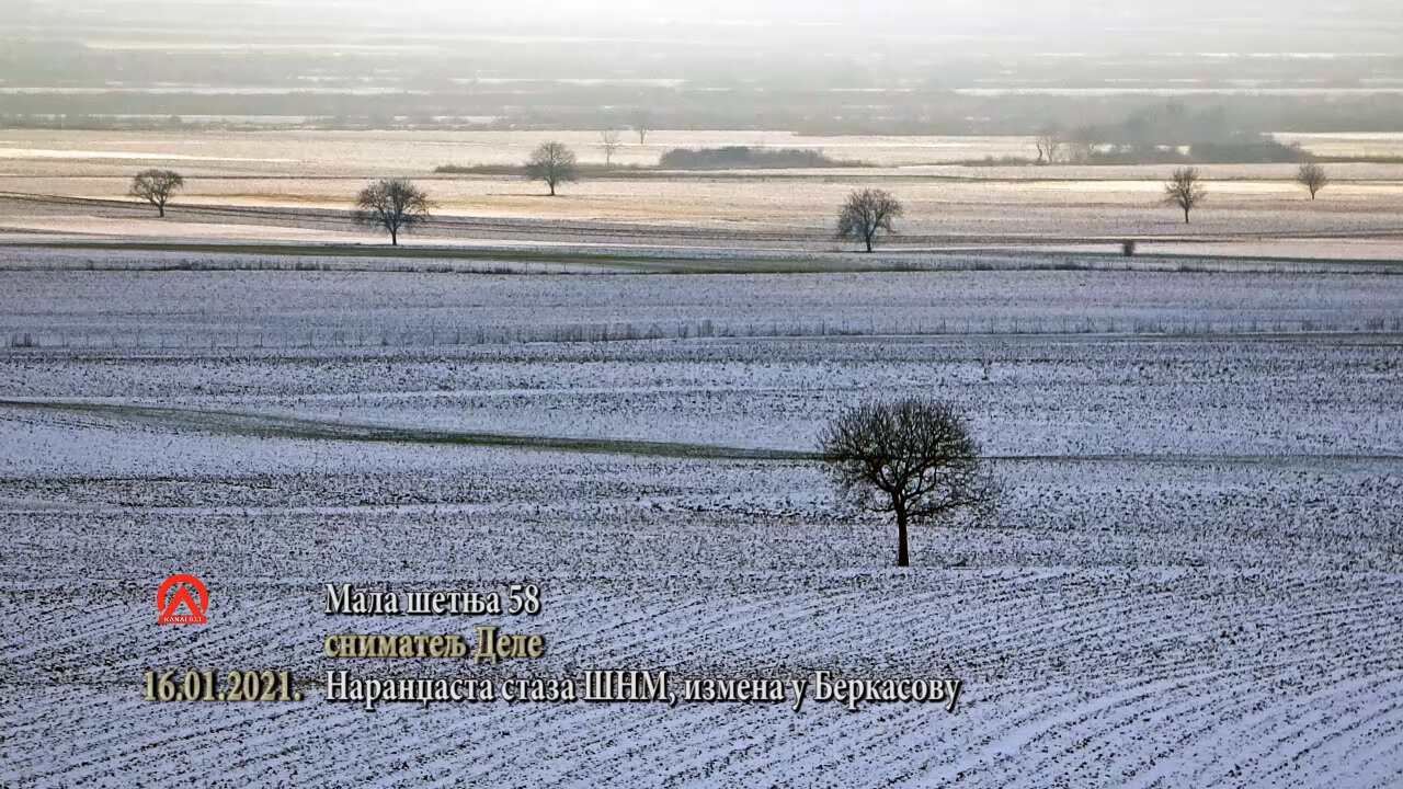 20210116 mš58 narandžasta staza