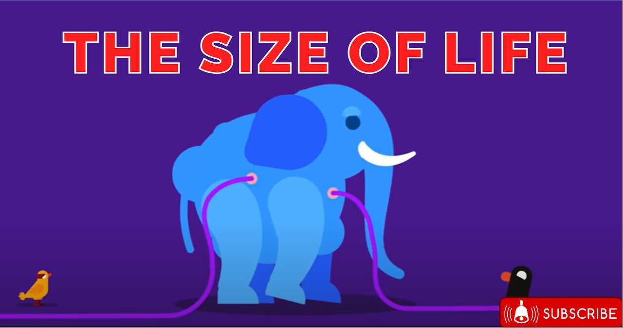 How to Make an Elephant Explode – The Size of Life 🐘💥