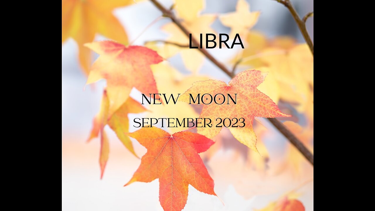 LIBRA- "YES, THE STRUGGLE IS REAL, BUT IT IS NOT A ONE WAY ADVANTAGE" SEPTEMBER 2023