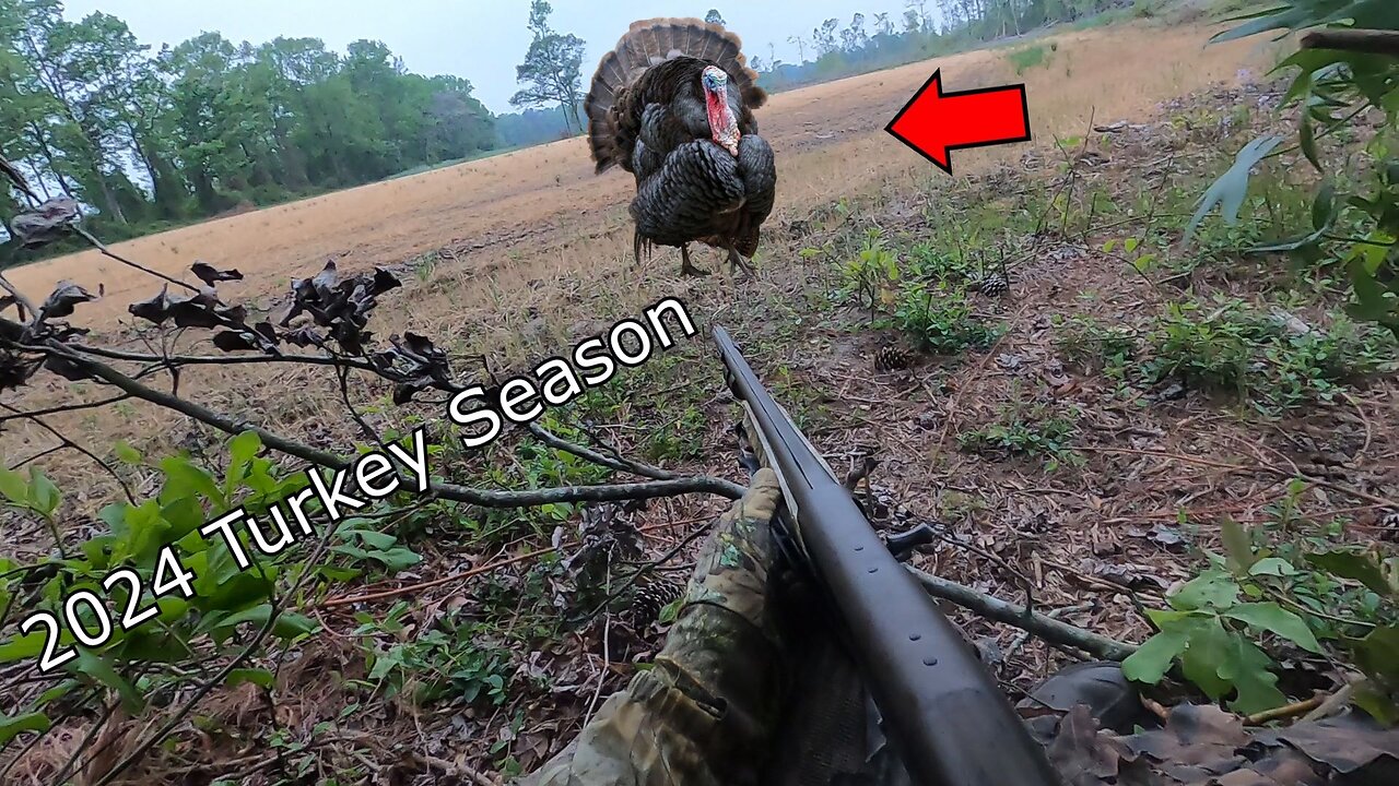 North Carolina Gobbler Down 2024