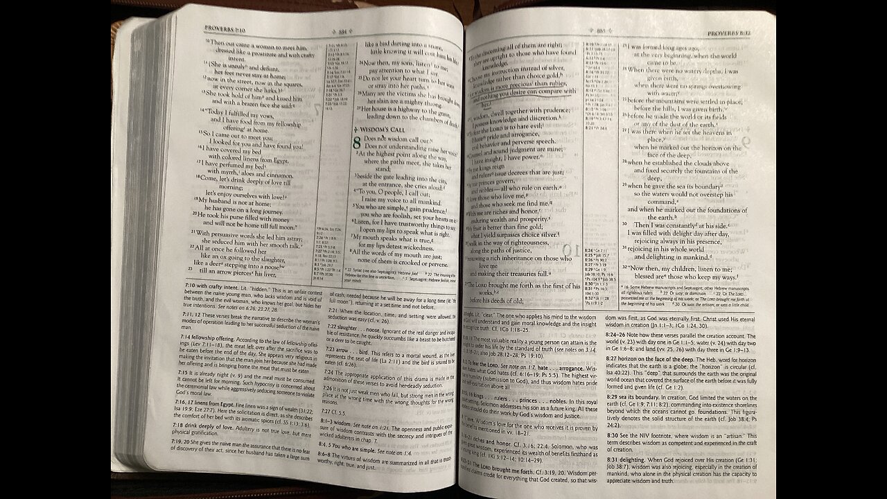 Proverbs 6-7
