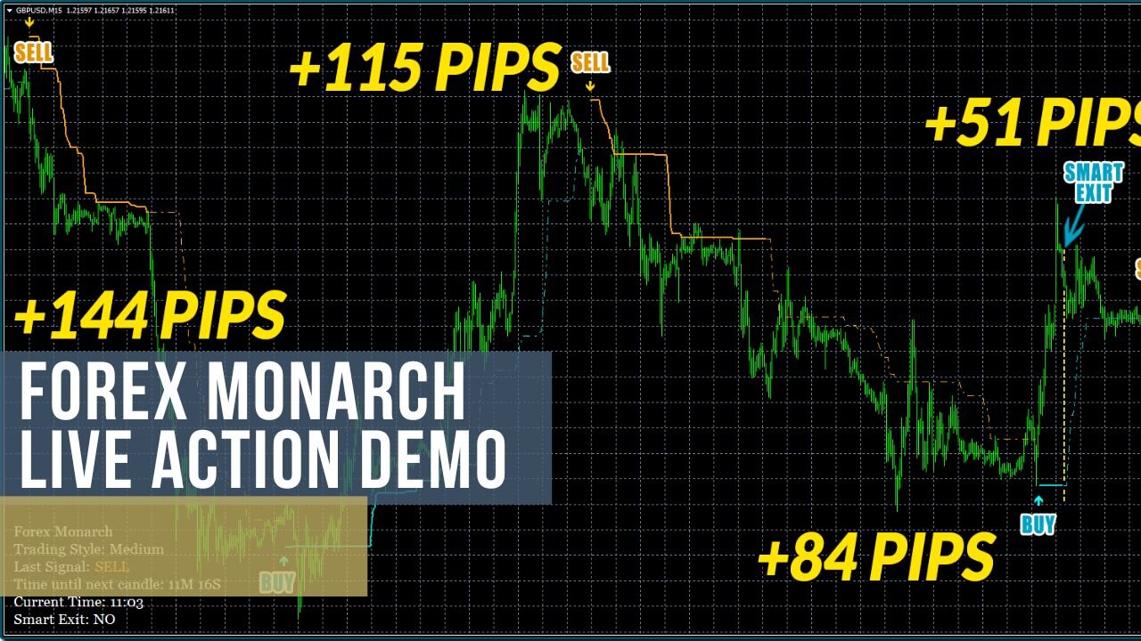 Forex Monarch Software Live Action Demo