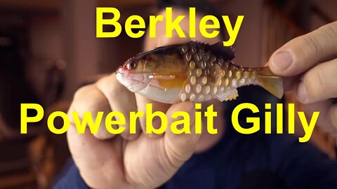 Berkley Powerbait Gilly - First Impressions - First catch