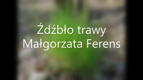Źdźbło trawy - Małgorzata Ferens