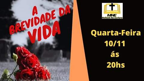 A Brevidade da Vida