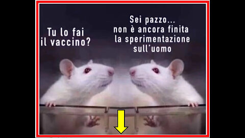 ☢️🐀☣️DIVENTARE CAVIE UMANE !!! ☣️🐀☢️