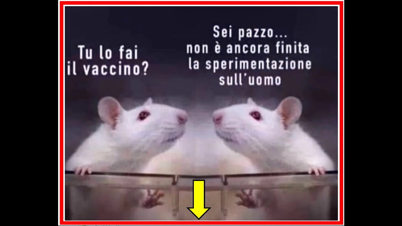 ☢️🐀☣️DIVENTARE CAVIE UMANE !!! ☣️🐀☢️