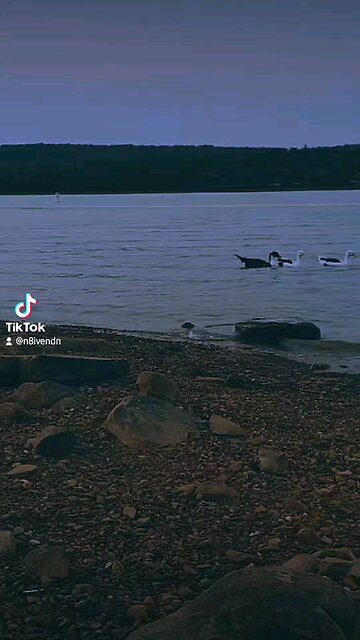 Good bye 👋 July, Hello August 2024, Thanks for the pain and lessons...