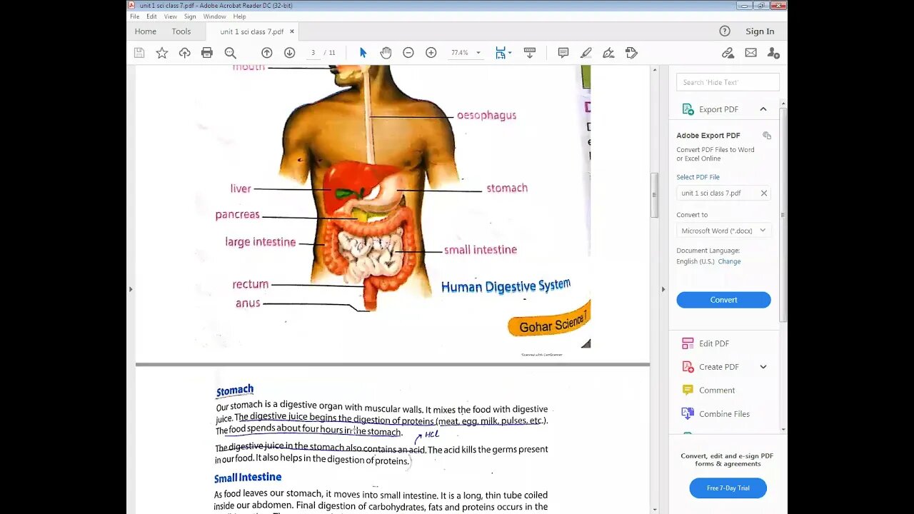 SCIENCE CLASS 7 03 04 2021