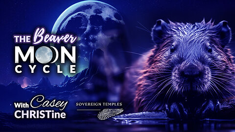 Beaver Moon Cycle November 13th-Dec 11th